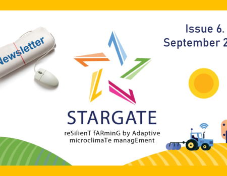 STARGATE project newsletter #6